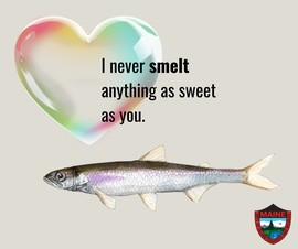 I never smelt anything as sweet as you