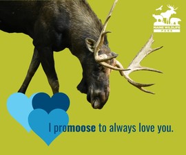 I promoose to always love you