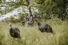 turkey hunters in field with decoys