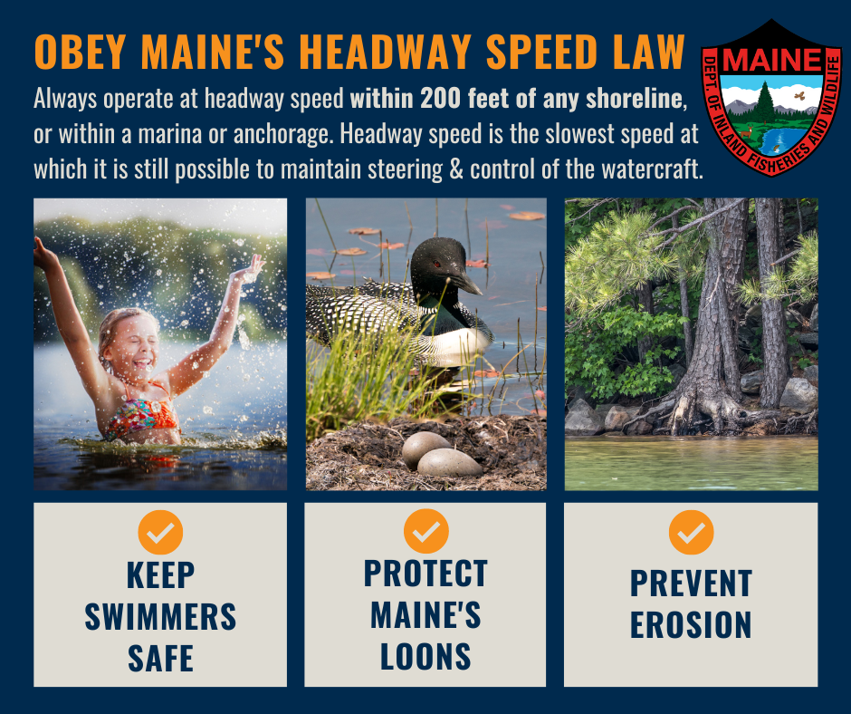 Navy blue graphic with photo of child splashing in lake, loon nest with two eggs with adult loon in background, and shoreline erosion