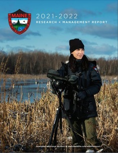 MDIFW female bird biologist standing in marsh with spotting scope on a cold day with bright blue skies