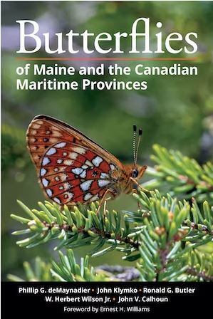 Butterflies of Maine and the Canadian Maritime Provinces book cover with a butterfly on branch