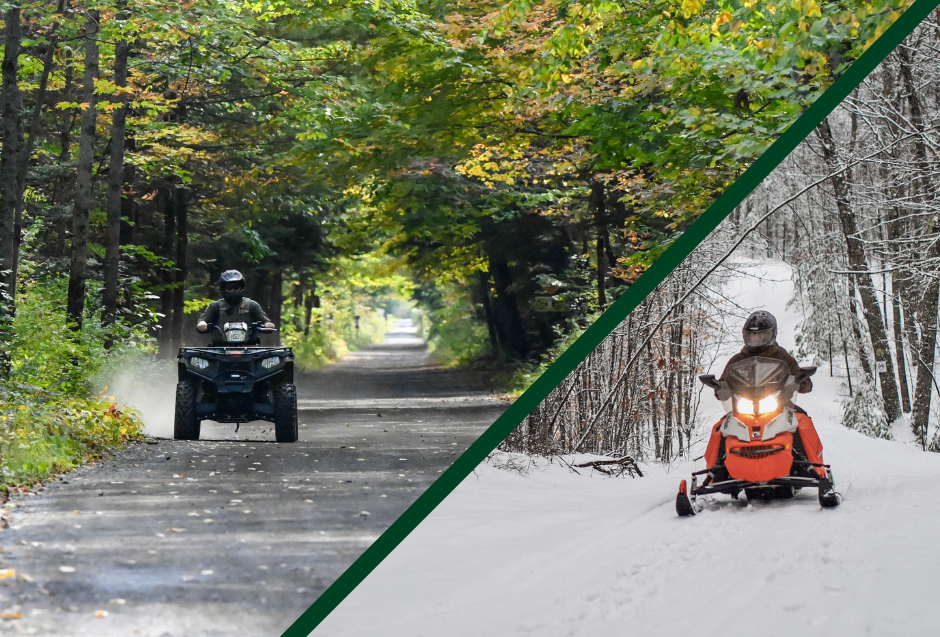 atv and snowmobile photo side by side