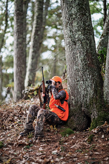 hunter wearing camo and two articles of orange under a tree looking through binoculars