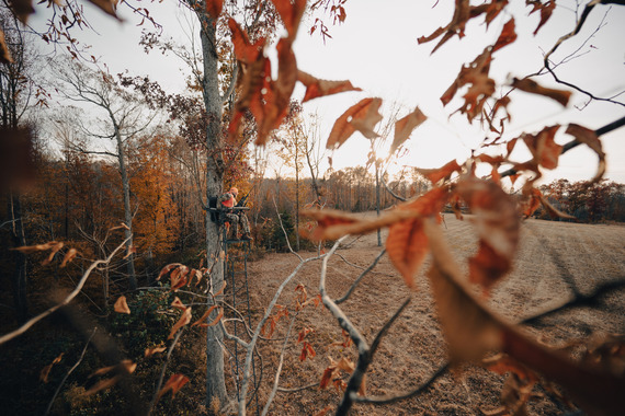 deer hunter in a tree stand overlooking a large field