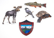 moose, chickadee, wood turtle, brook trout, and MDIFW logo sticker set