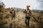 two bird hunters walking through field wearing two articles of orange and carrying shotguns