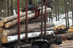 loading logs