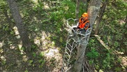 Hunter in a tree stand