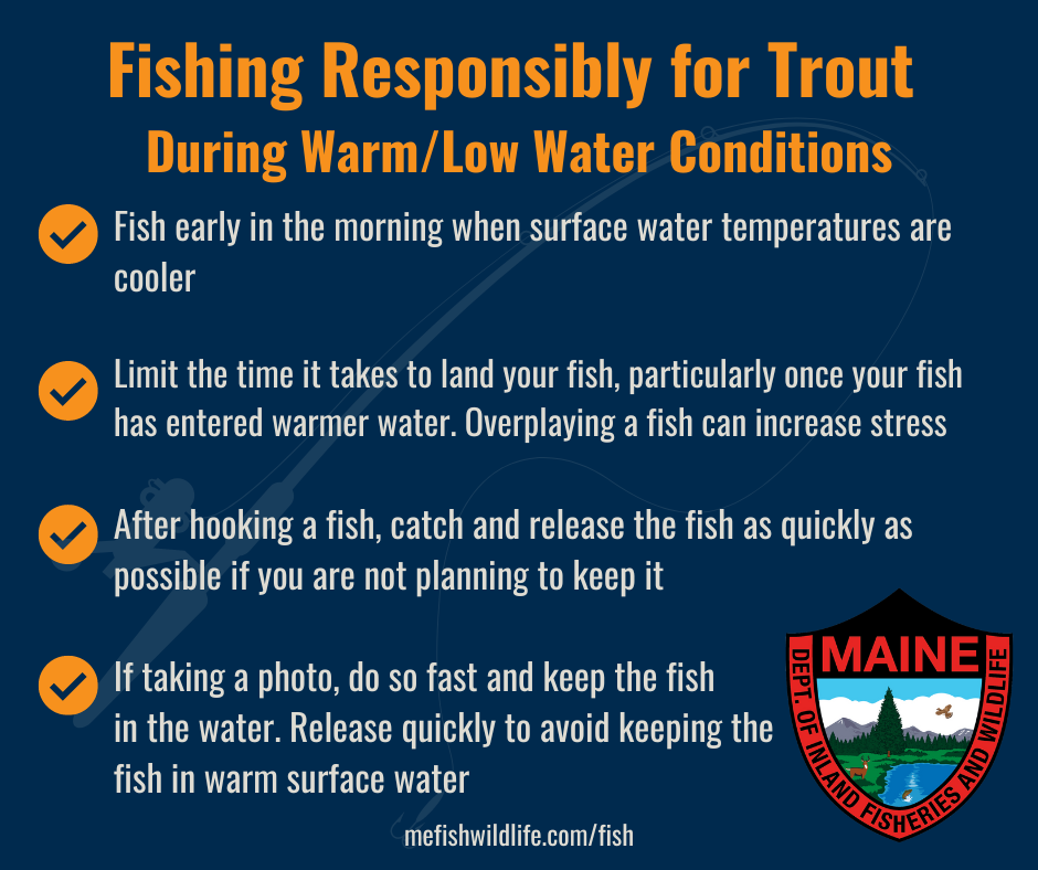 Fishing responsibly during warm/low water conditions