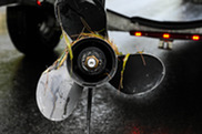 weeds on a boat propeller