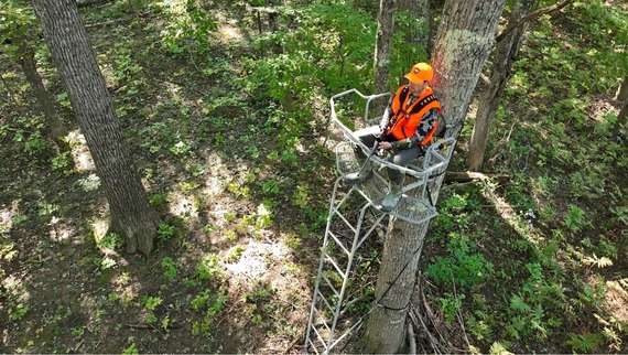 Hunter in a tree stand on a WMA