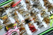 A case of multicolored fly fishing flies