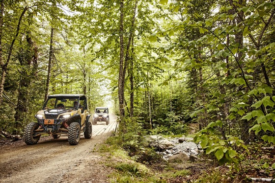 side by side going through wooded trail