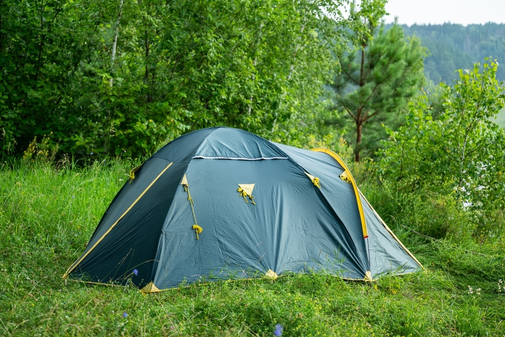 green tent in the woods