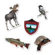 moose fish turtle chickadee stickers