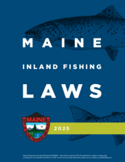 blue 2025 fishing law book cover