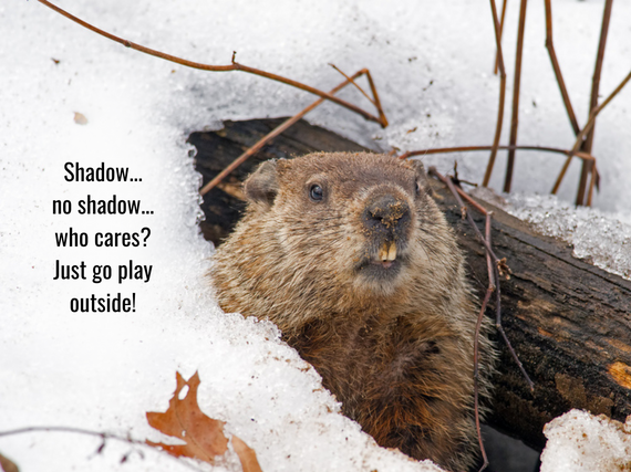 A groundhog peeking out of a snowy burrow in spring.