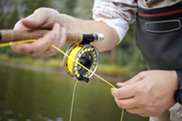 Fly fishing reel