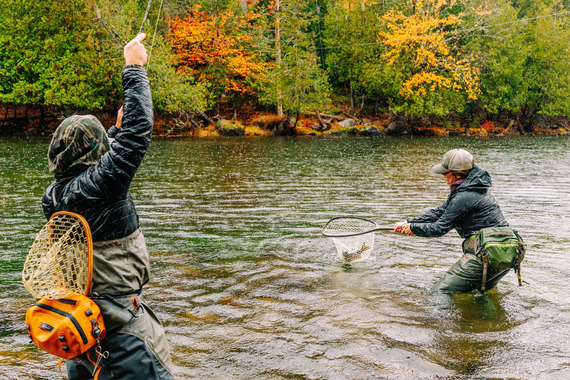 two fly anglers landing a fish in a net with vibrant foliage background 