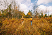 two bird hunters wearing two articles of blaze orange with fall foliage