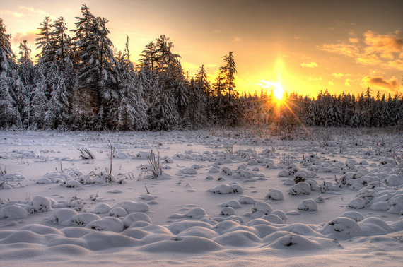 snowy field with sun setting