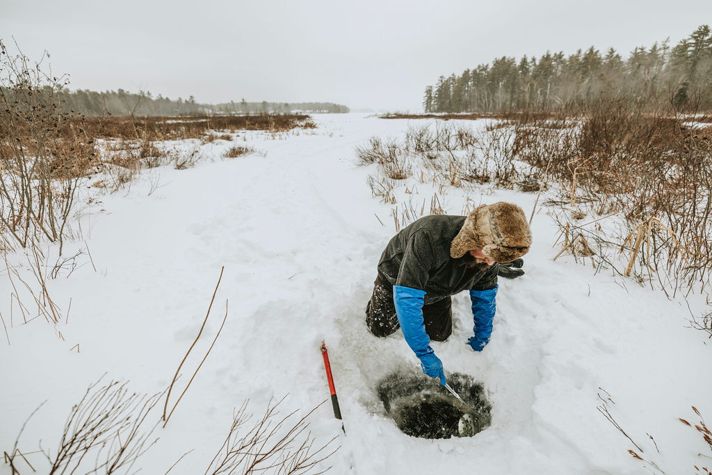 Learn to Trap: Beaver