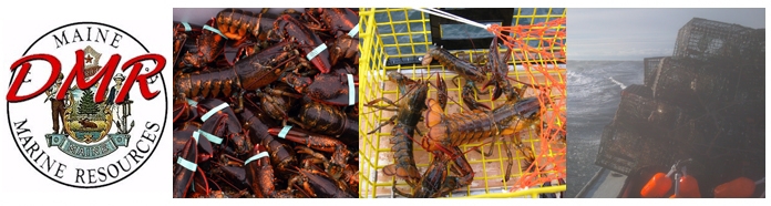 DMR's Policy on Changing Over Trap Tags – Maine Lobstermen's Community  Alliance