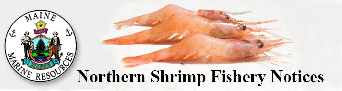 Shrimp Header