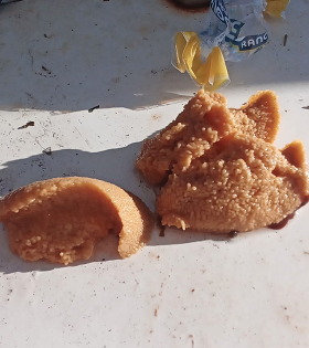 green sea urchin roe