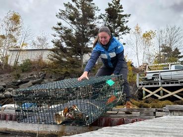 woman pulling lobster trap