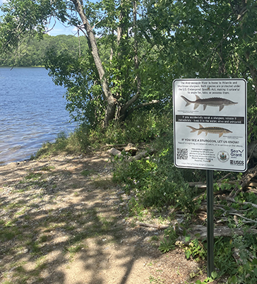 Pinette's Landing