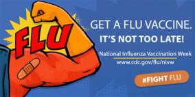 Fight the flu