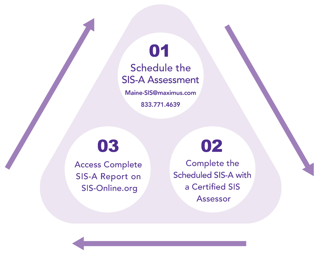 The SIS-A Assessment Process Cycle