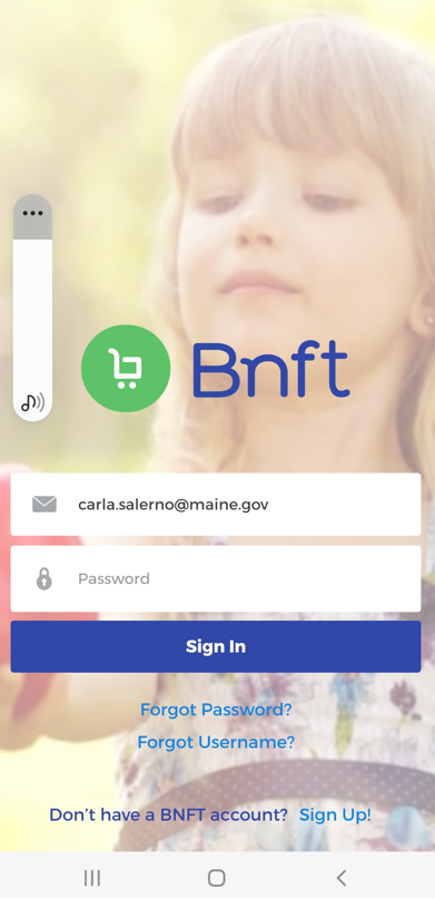 BNFT APP Home Page