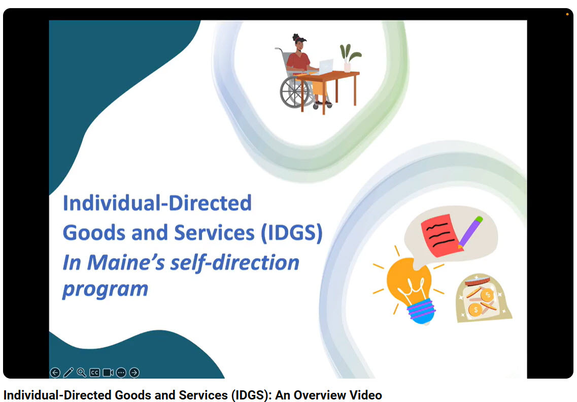 Individual-Directed Goods and Services (IDGS): An Overview Video