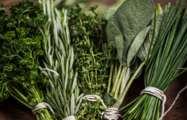 Fresh herbs