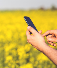 A hand holding a cell phone 