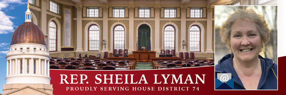 district 74 rep Sheila Lyman