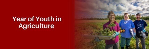 Year of Youth in Agriculture