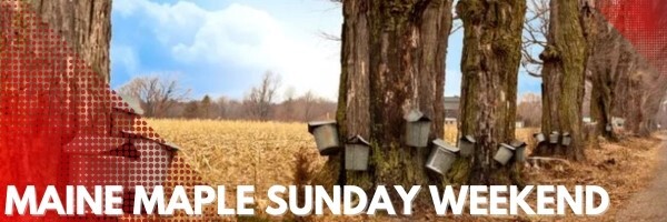 Maine Maple Sunday
