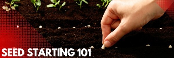 Seed Starting