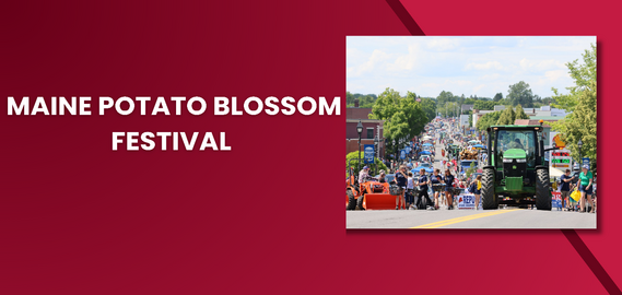 Potato Blossom Fest