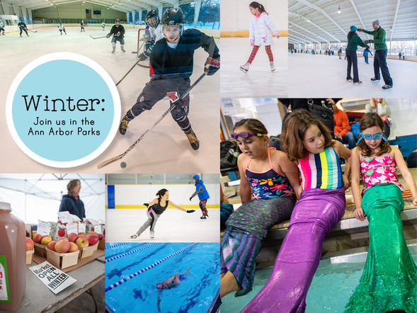 Winter in the Ann Arbor parks