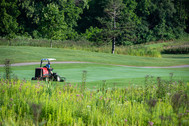 Parks mowing