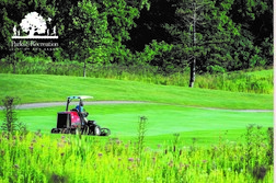 Mowing in the Ann Arbor parks