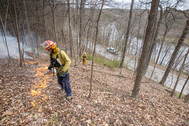 NAP Controlled Burns in City Parks