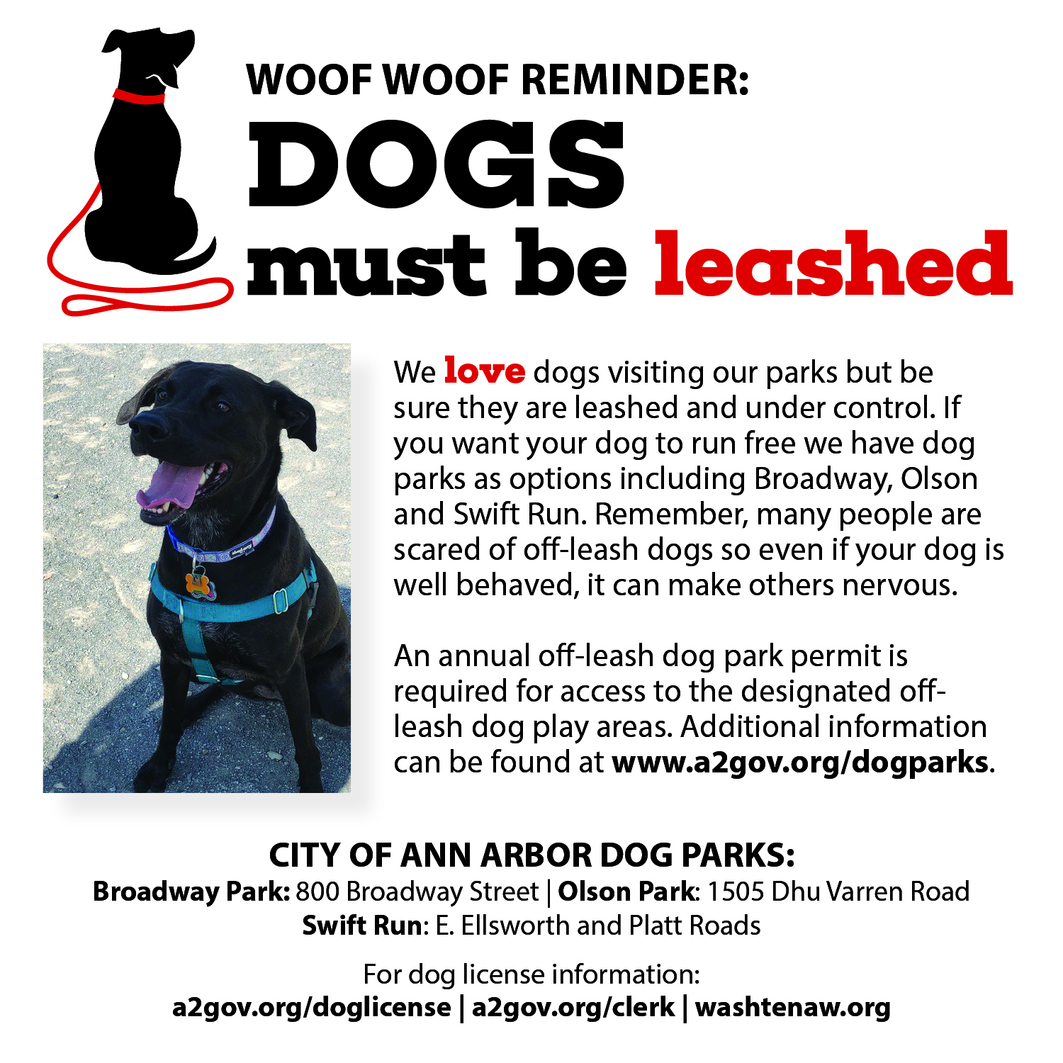 The best place to be this weekend is in the Ann Arbor parks