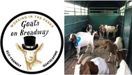 Goats on Broadway