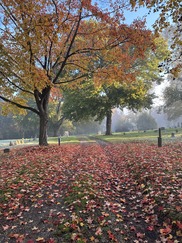 Fairview Cemetery